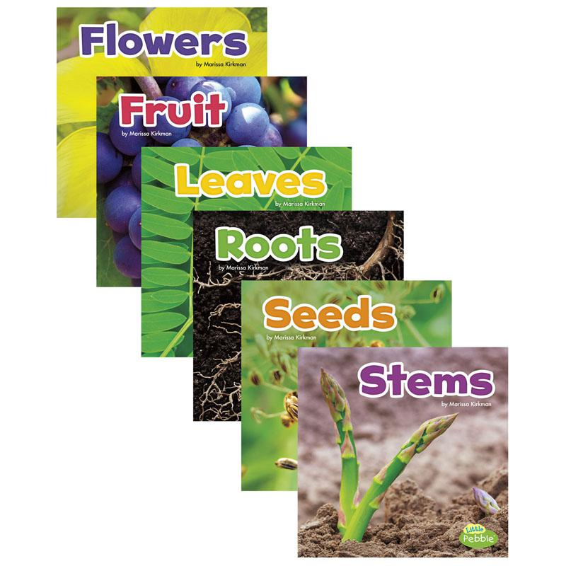 Plant Parts Educational Book Set - Set of 6 Books for Emergent Readers | Learn About Plant Parts & Growth