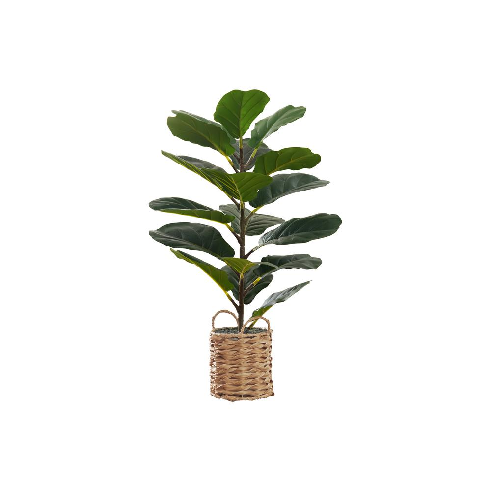 Artificial Plant, 28" Tall, Fiddle Tree, Indoor, Faux, Fake, Floor, Greenery