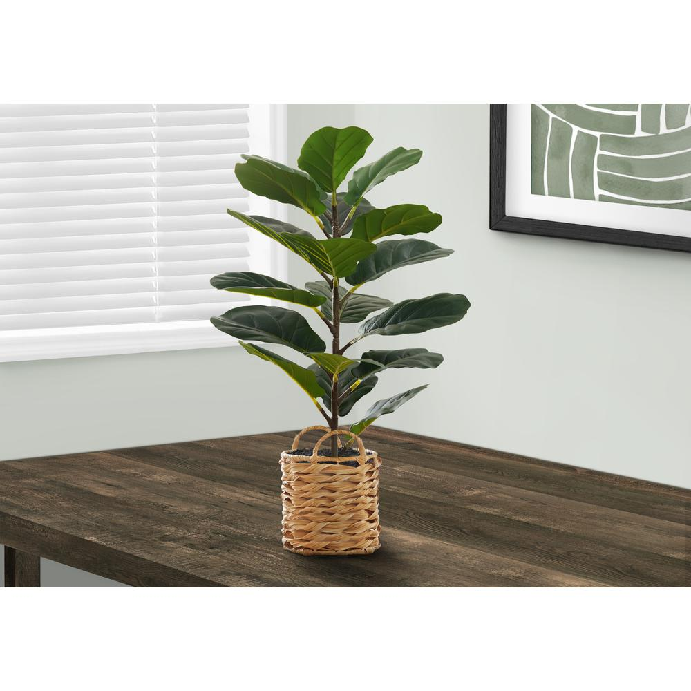 Artificial Plant, 28" Tall, Fiddle Tree, Indoor, Faux, Fake, Floor, Greenery