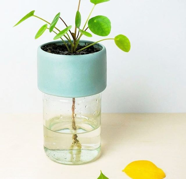 Self-Watering Plant Jar Attachment - Sustainable Watering Solution by Studio Lorier