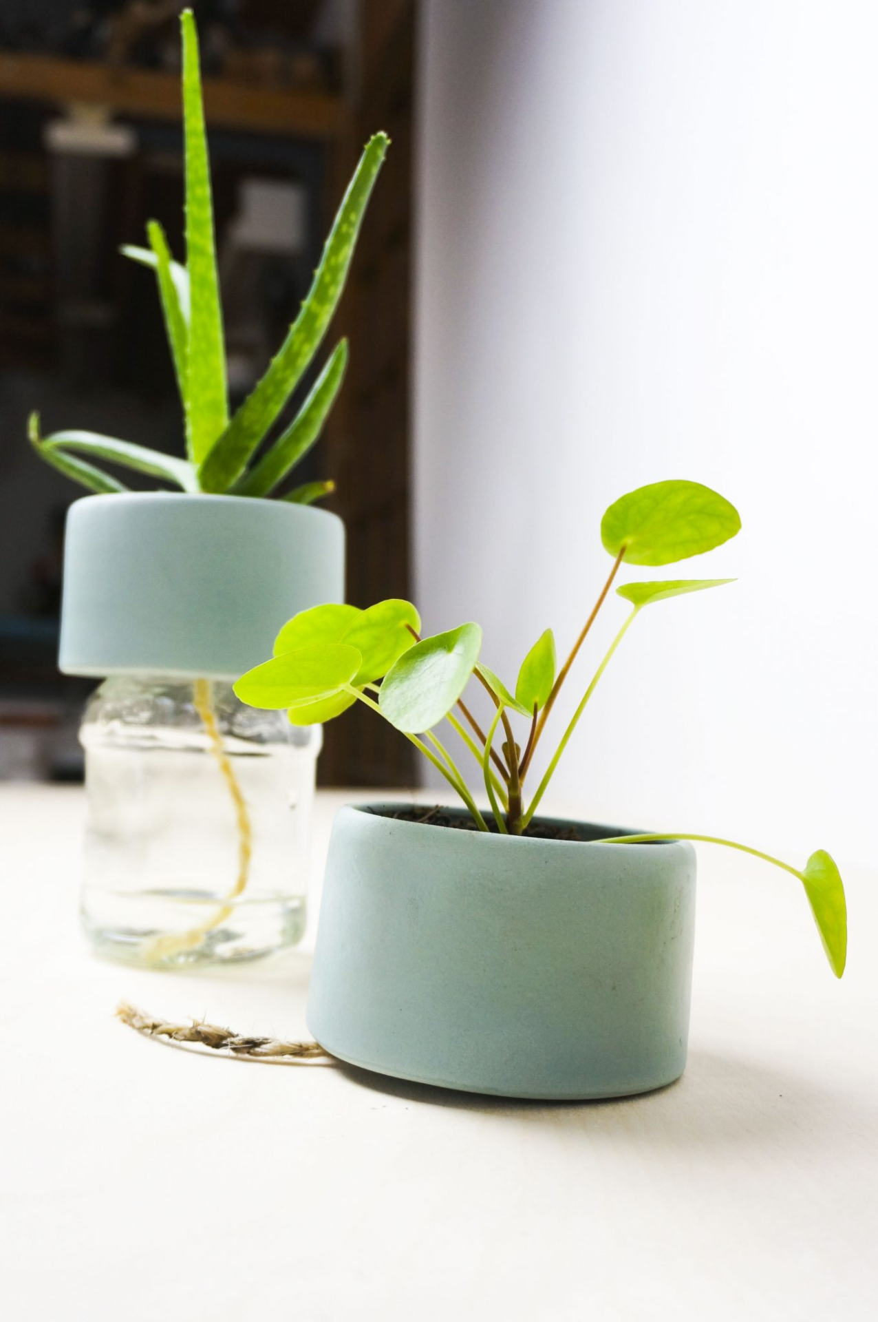 Self-Watering Plant Jar Attachment - Sustainable Watering Solution by Studio Lorier