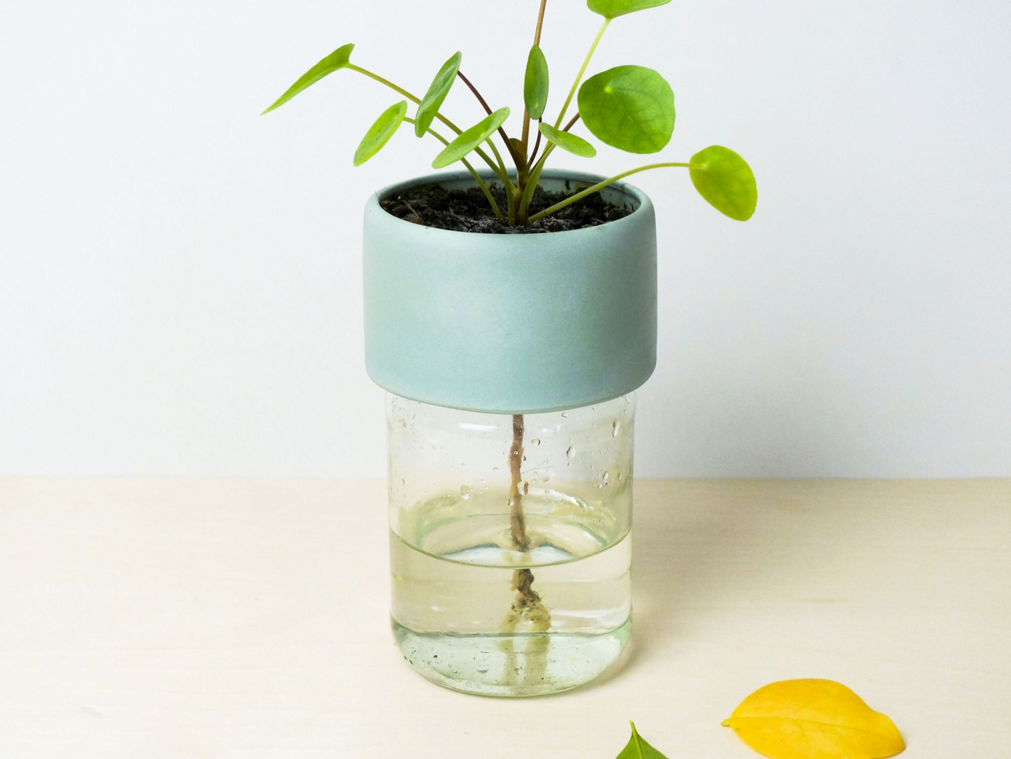 Self-Watering Plant Jar Attachment - Sustainable Watering Solution by Studio Lorier