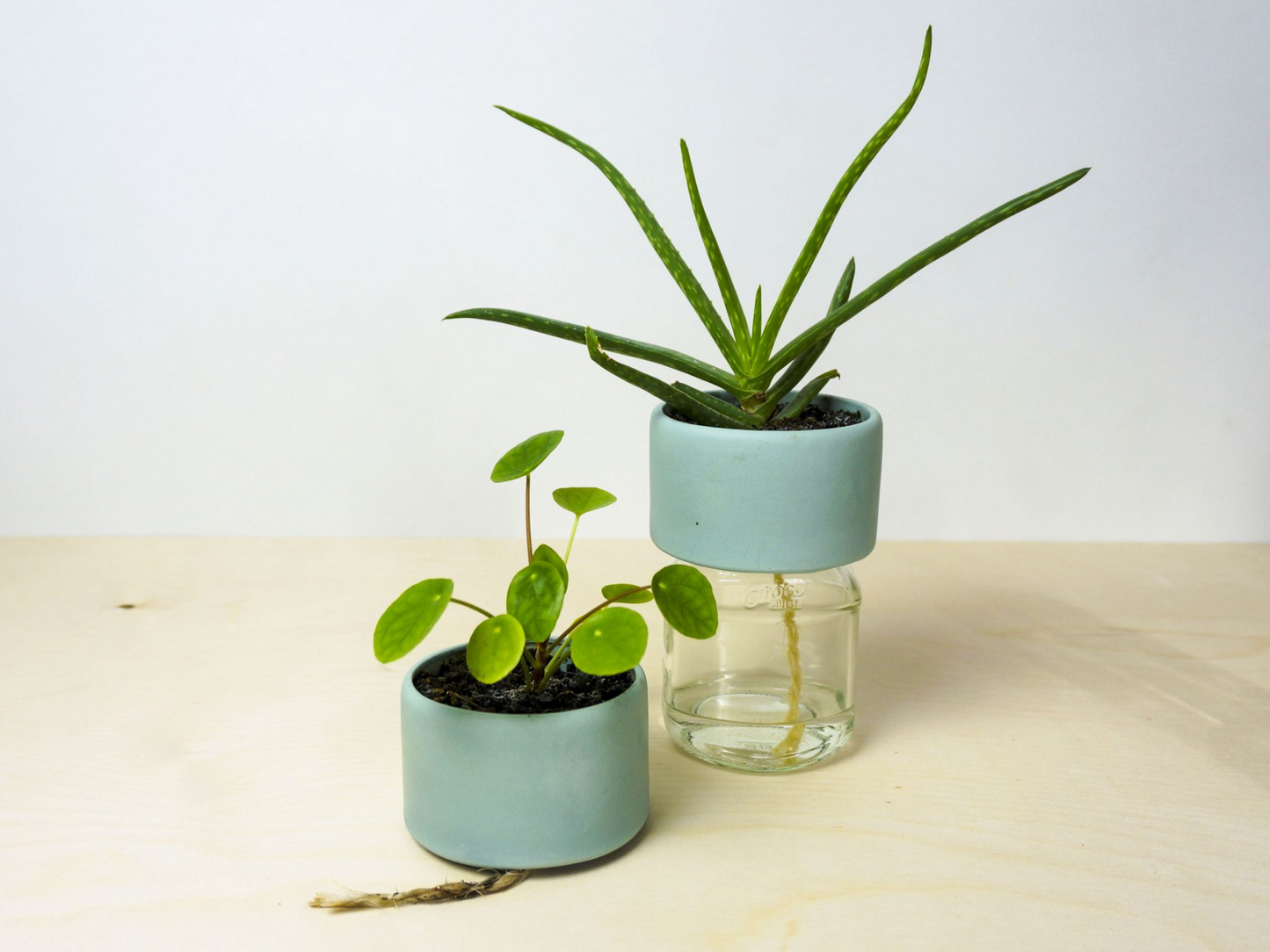 Self-Watering Plant Jar Attachment - Sustainable Watering Solution by Studio Lorier