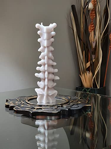 Zellinni Spine Candle - Spinal Cord Bone Decor for Bedroom Goth Candle Living Room