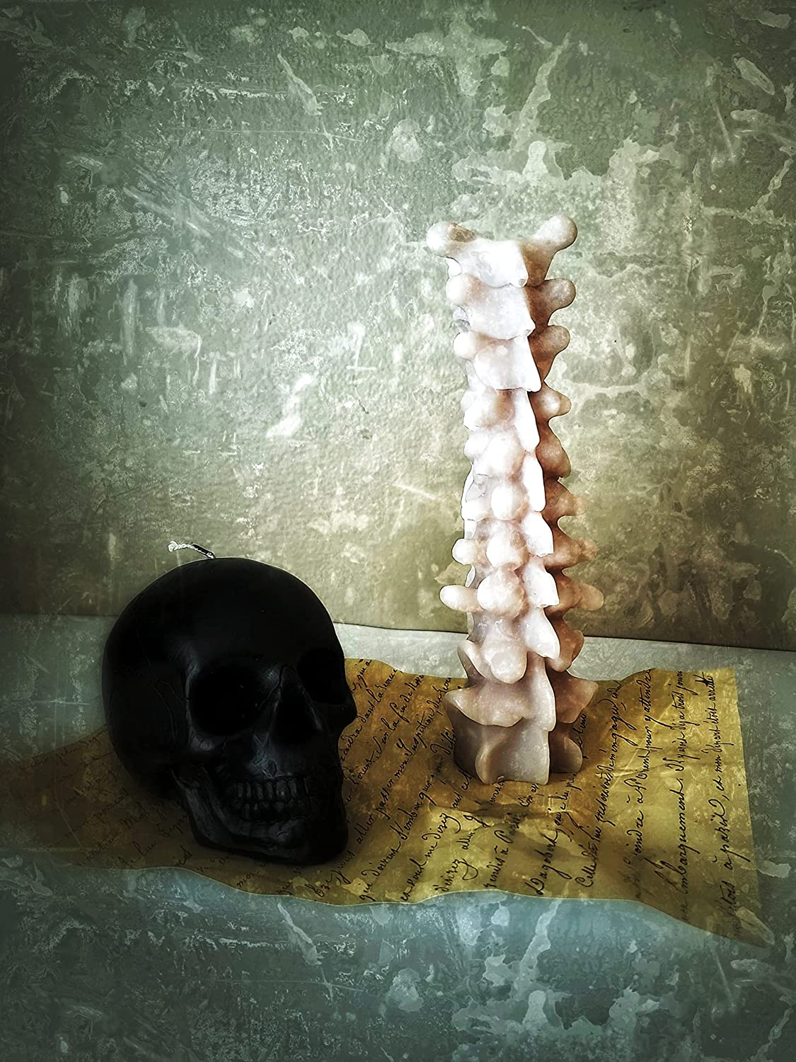 Zellinni Spine Candle - Spinal Cord Bone Decor for Bedroom Goth Candle Living Room