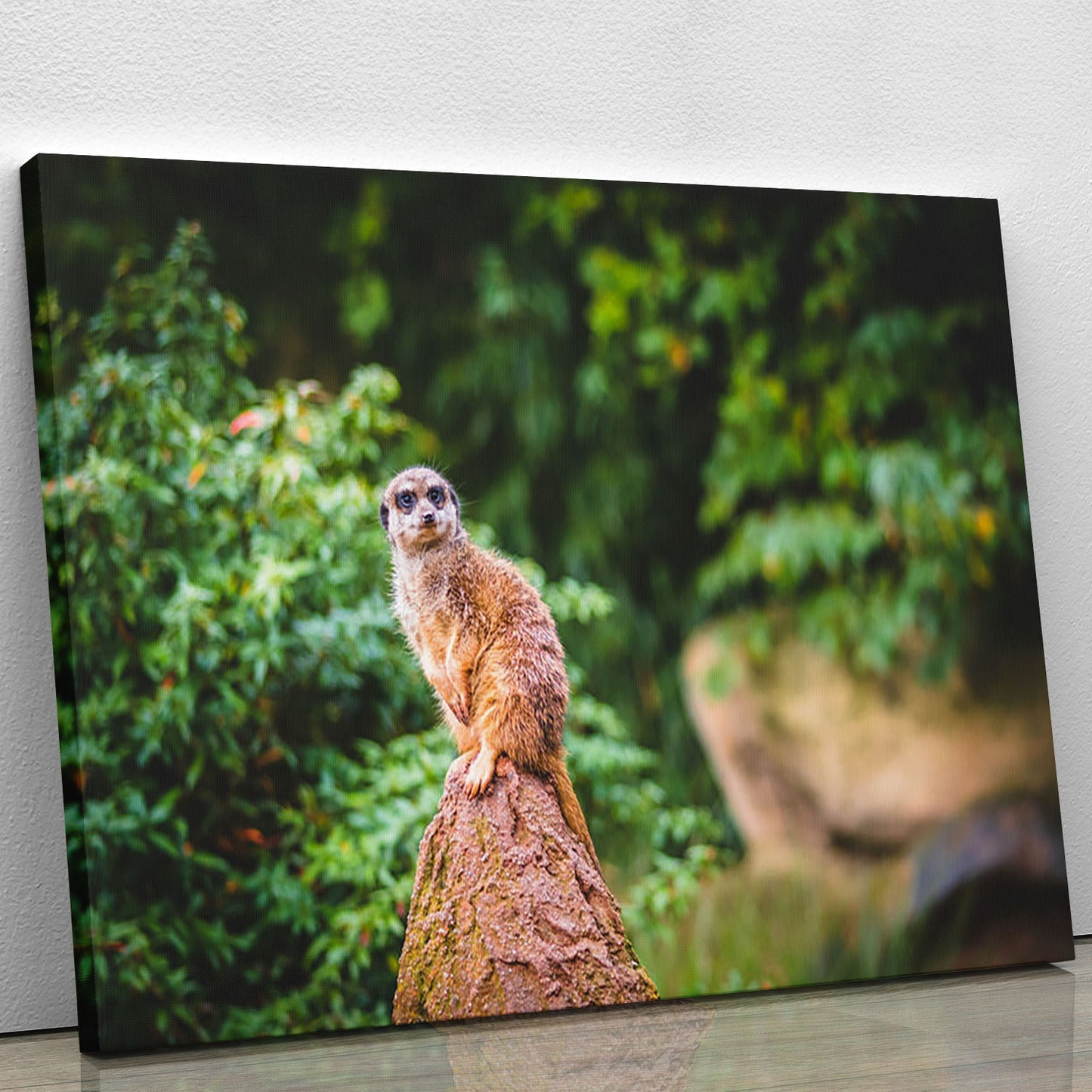 A Meerkats Full Attention Canvas Print or Poster - Stunning Wall Art for Home & Office