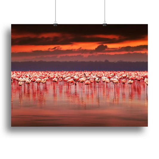 African Flamingos in the Lake Canvas Print or Poster - Stunning Wall Art for Home & Office