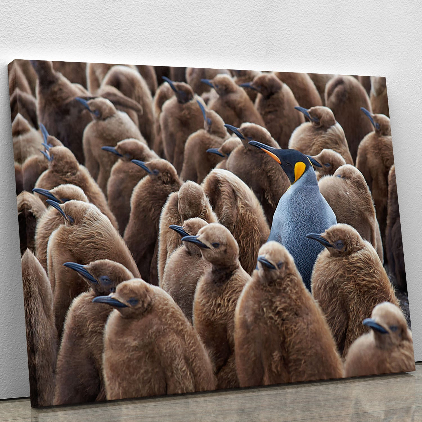 Adult King Penguin Canvas Print or Poster | Stunning Wall Art Decor