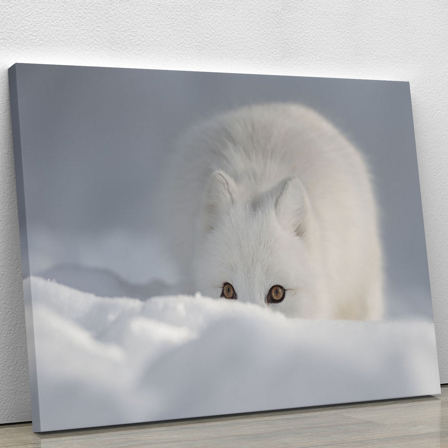 An Arctic Fox Peering Over a Snow Drift | Canvas Print or Poster - High-Quality Wall Art