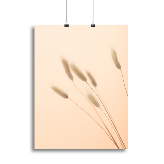 Bunny Grass Peach 03 Canvas Print or Poster - Elegant Wall Art for Home & Office