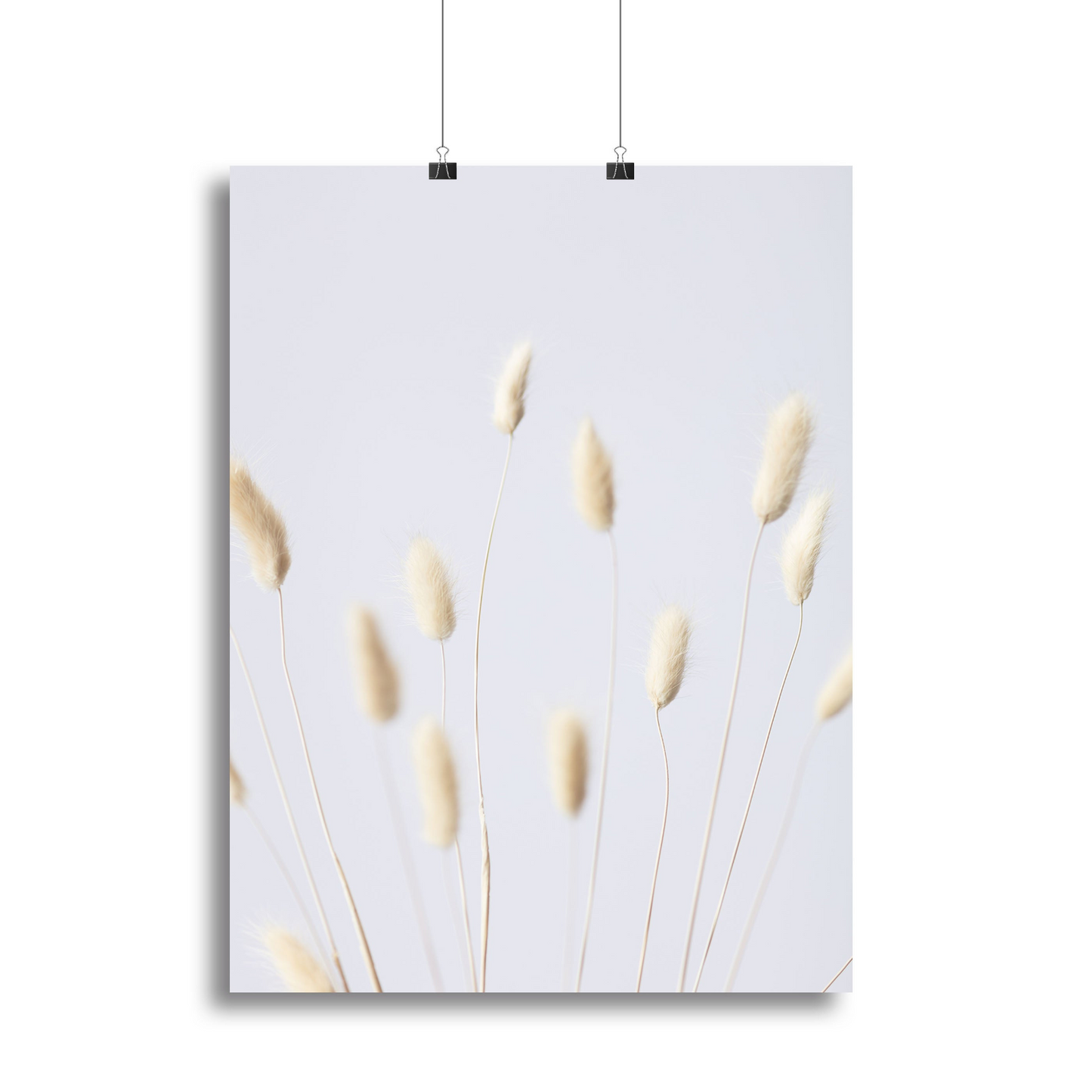 Bunny Grass No 3 Canvas Print or Poster - Stunning Nature-Inspired Wall Art