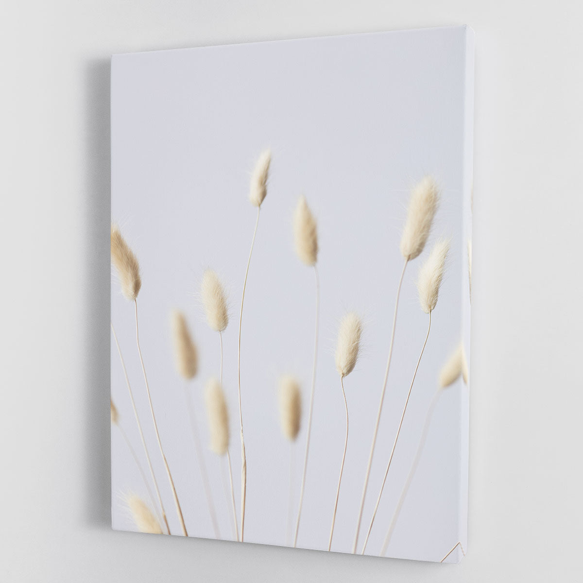 Bunny Grass No 3 Canvas Print or Poster - Stunning Nature-Inspired Wall Art