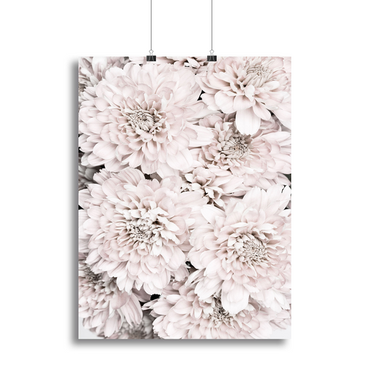 Chrysanthemum No 09 Canvas Print or Poster - Elegant Floral Wall Art for Home & Office Decor