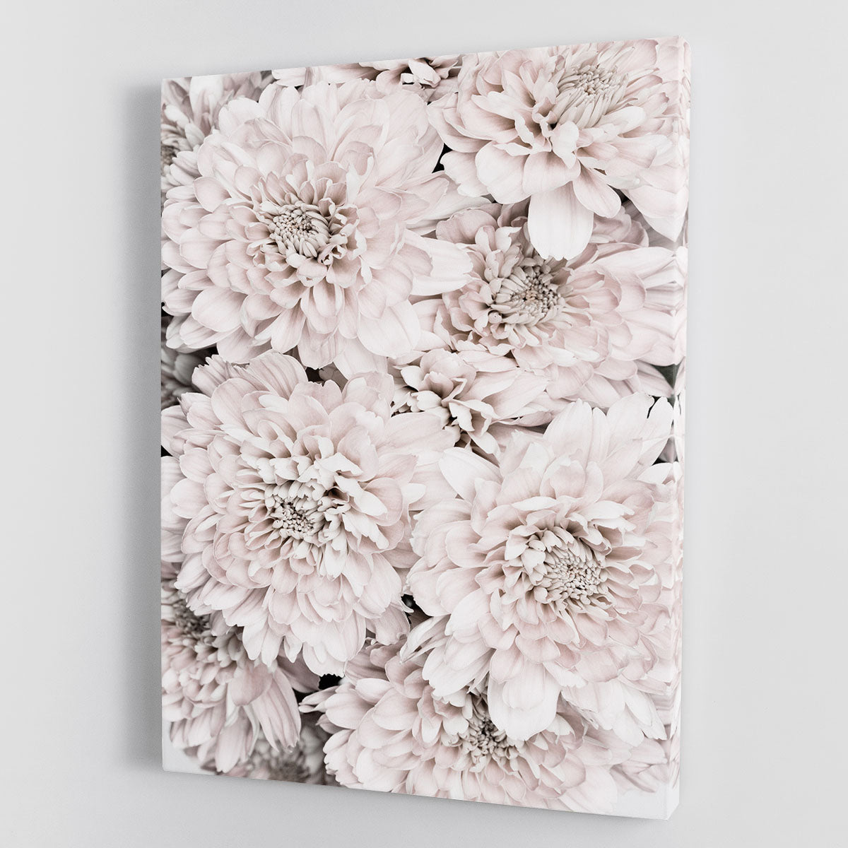 Chrysanthemum No 09 Canvas Print or Poster - Elegant Floral Wall Art for Home & Office Decor