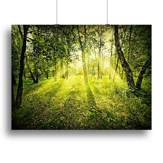 Deep Forest on Summer Morning Canvas Print or Poster - Beautiful Nature Wall Art