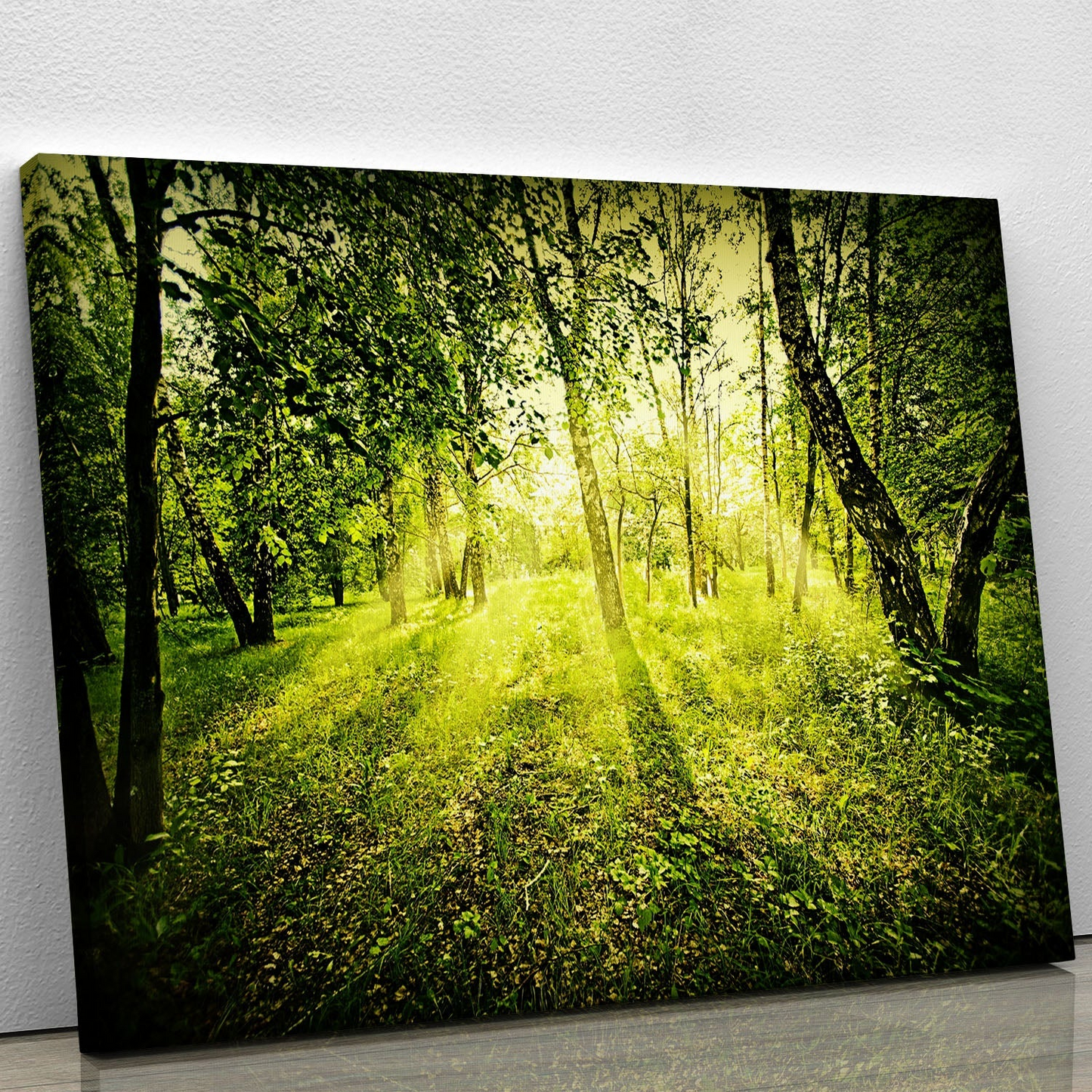 Deep Forest on Summer Morning Canvas Print or Poster - Beautiful Nature Wall Art