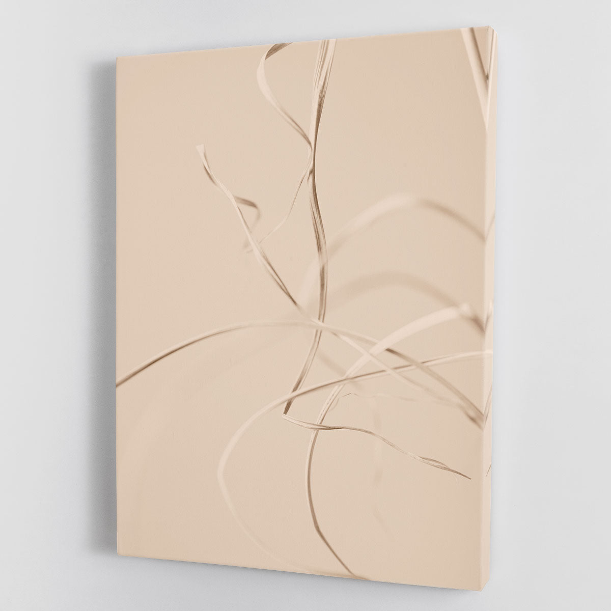 Dried Grass Beige 02 Canvas Print or Poster - Elegant Modern Wall Art for Home and Office Decor