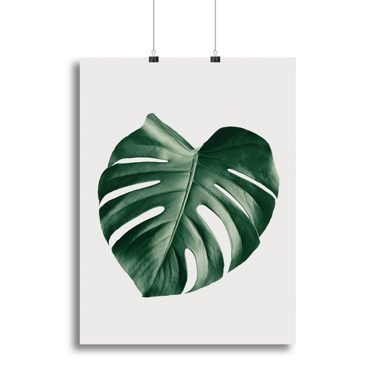 Monstera Natural 23 Canvas Print or Poster - Beautiful Home Decor Artwork