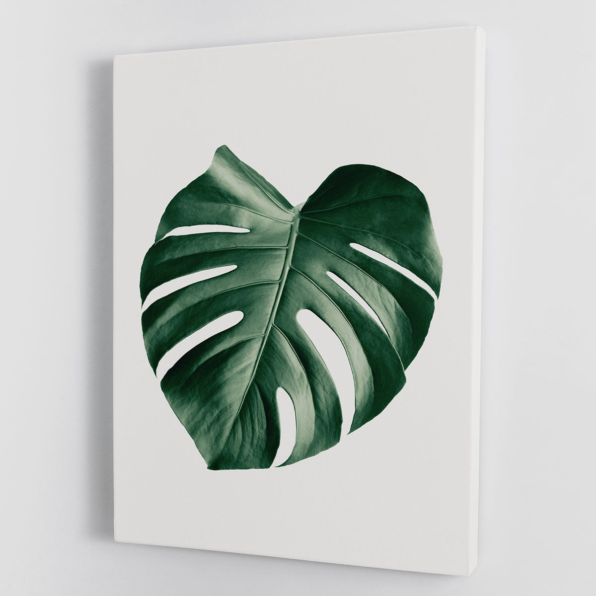 Monstera Natural 23 Canvas Print or Poster - Beautiful Home Decor Artwork