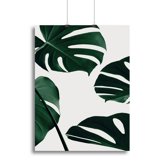 Monstera Natural 20 Canvas Print or Poster - Modern Art for Home & Office Decor