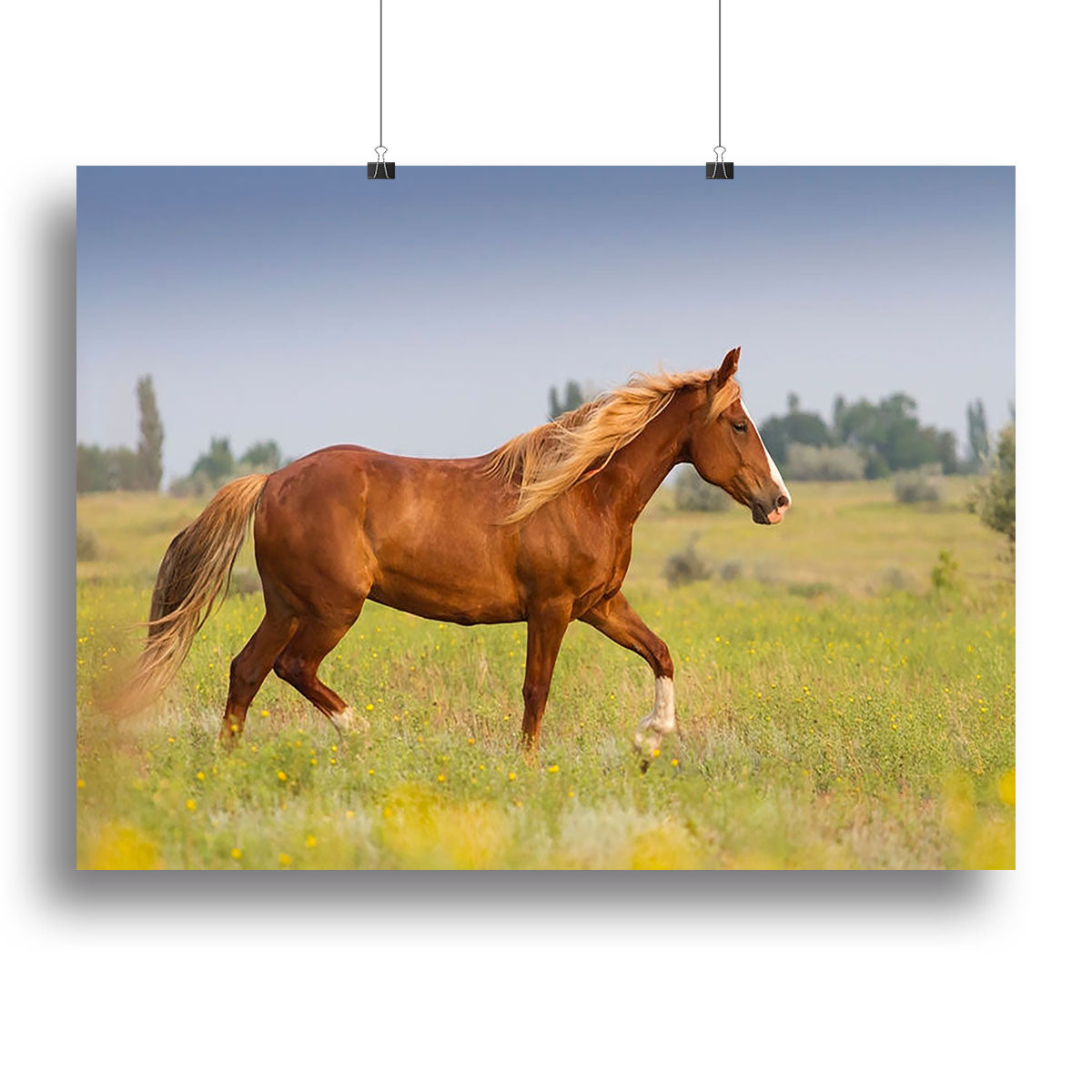 Red Horse with Long Mane Canvas Print or Poster | Elegant Wall Art for Home & Office