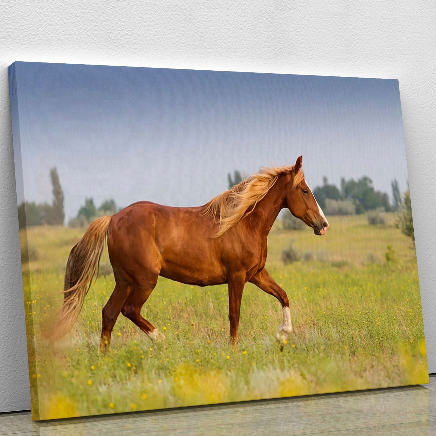 Red Horse with Long Mane Canvas Print or Poster | Elegant Wall Art for Home & Office