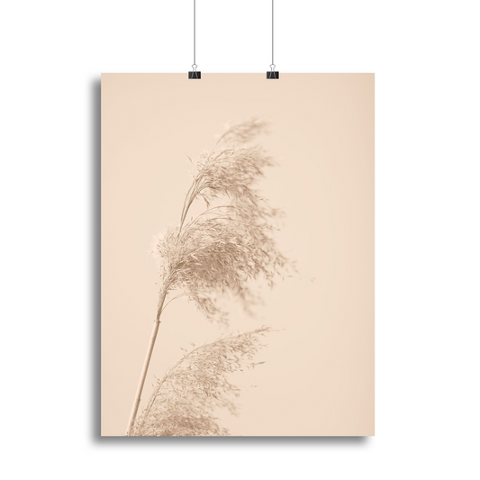 Reed Grass Beige 03 Canvas Print - Elegant Nature-Inspired Wall Art Poster