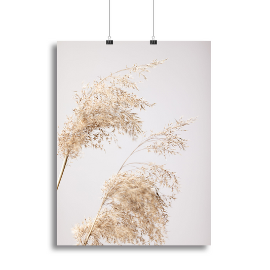 Reed Grass Grey 06 Canvas Print or Poster - Modern Art for Elegant Home Decor