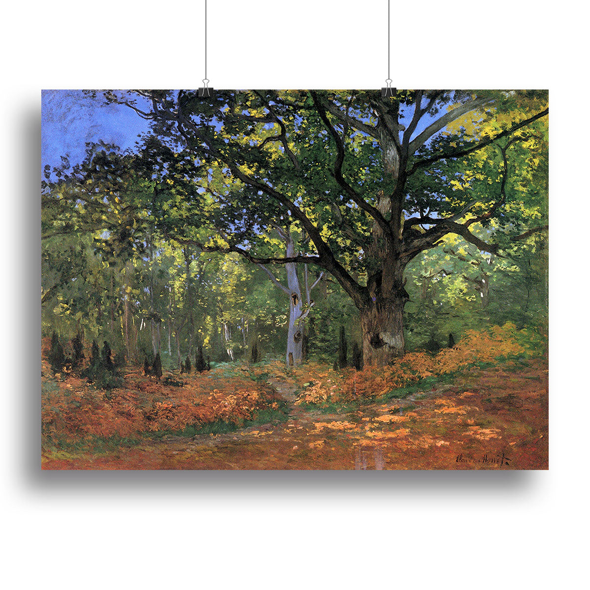 The Bodmer Oak Fontainebleau Forest by Monet Canvas Print or Poster - Enhance Your Space with Timeless Art