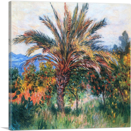 Palm Tree At Bordighera 1884 - Elegant Canvas & Posters Collection