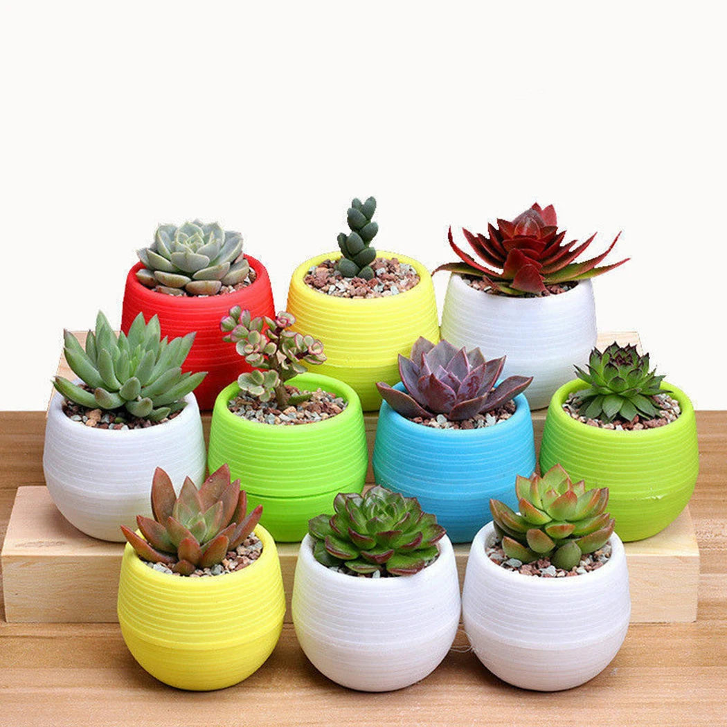 10pcs Mini Plastic Flower Pot Round Succulent Pot Small Flower Plant Planter Colorful Nursery Box Trays Transplant Flower Pots