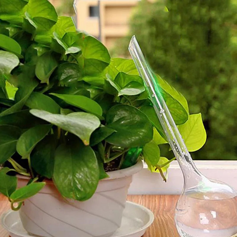 5PCS Automatic Plant Watering Globes – Self-Watering Irrigation for Indoor & Outdoor Plants