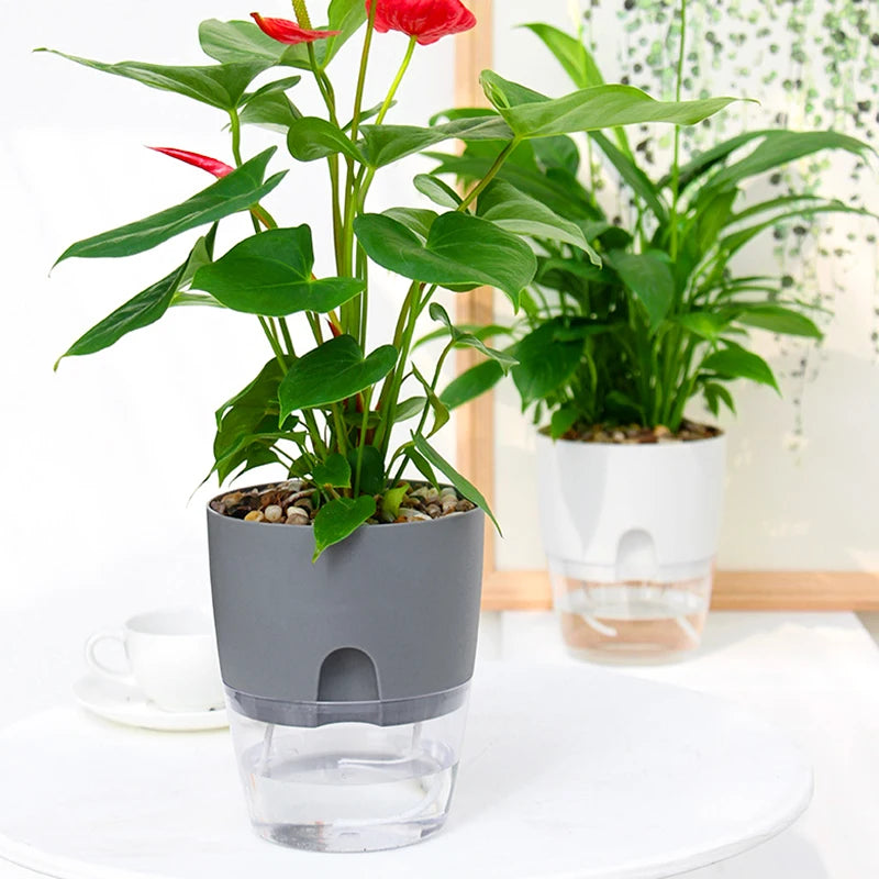 Transparent Double-Layer Self-Watering Plastic Flower Pot - Modern Hydroponic Plant Pot