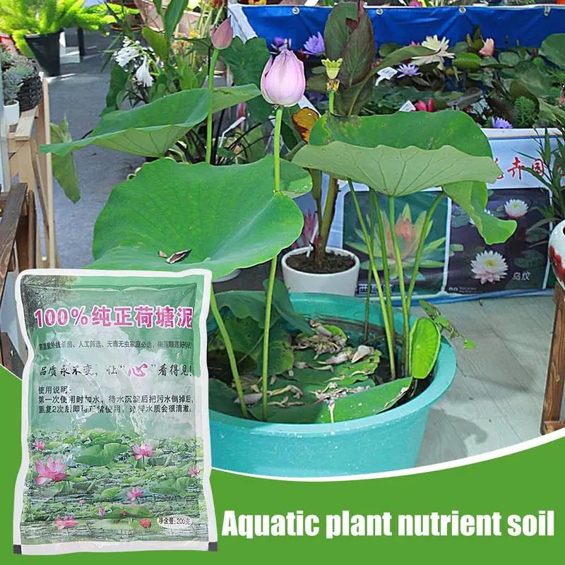 Natural Lotus Pond Mud – Nutrient-Rich Aquatic Soil for Water Lilies & Plants