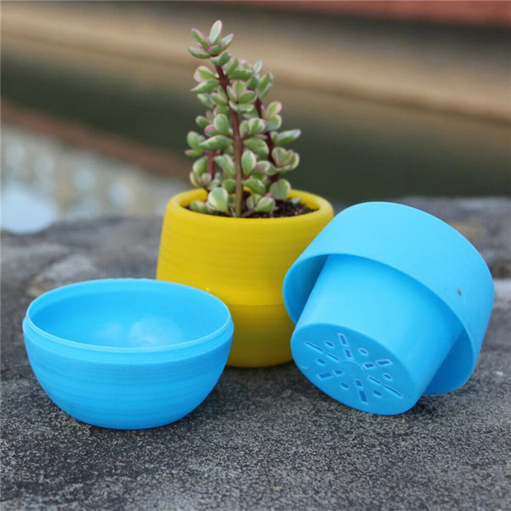 10pcs Mini Plastic Flower Pot Round Succulent Pot Small Flower Plant Planter Colorful Nursery Box Trays Transplant Flower Pots