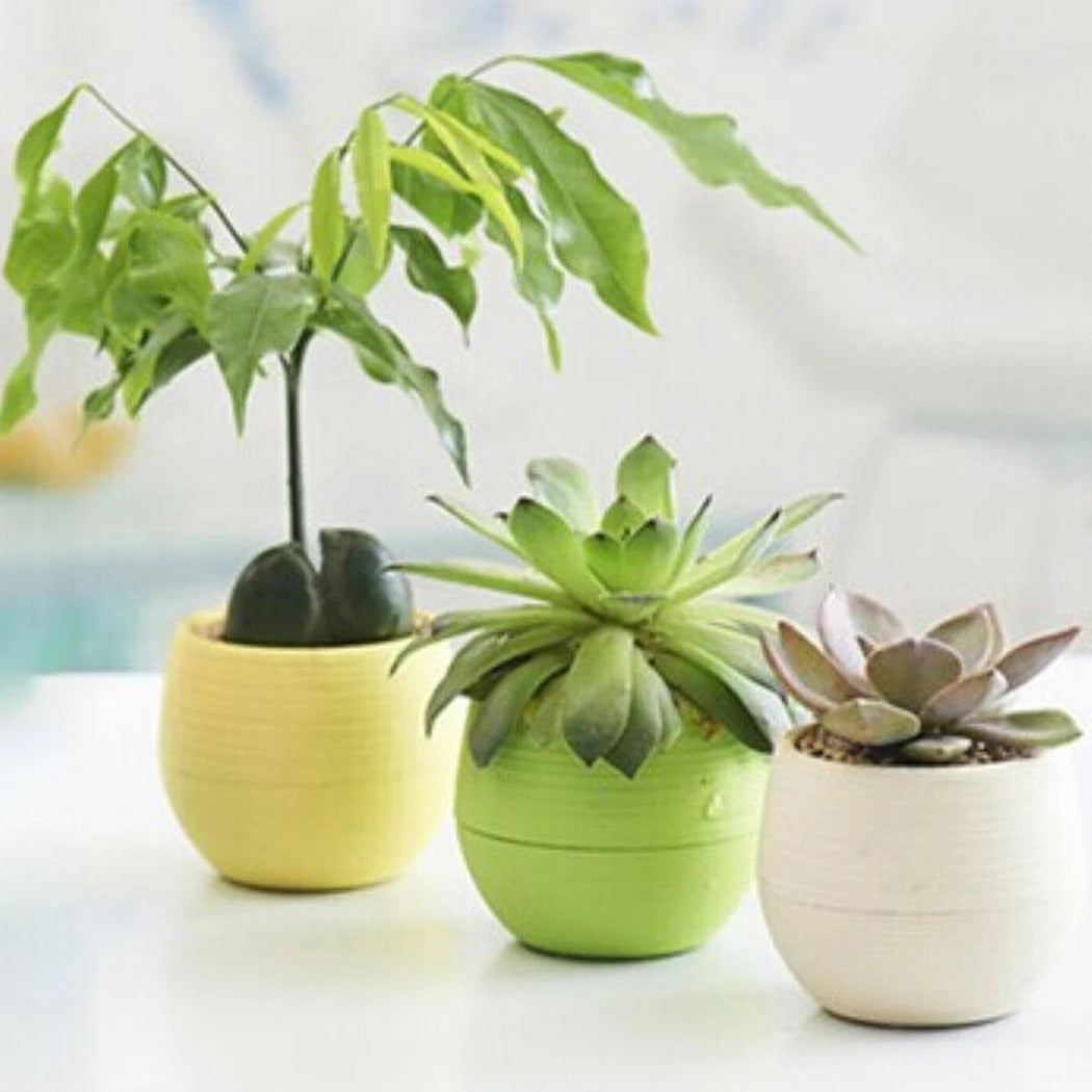 10pcs Mini Plastic Flower Pot Round Succulent Pot Small Flower Plant Planter Colorful Nursery Box Trays Transplant Flower Pots