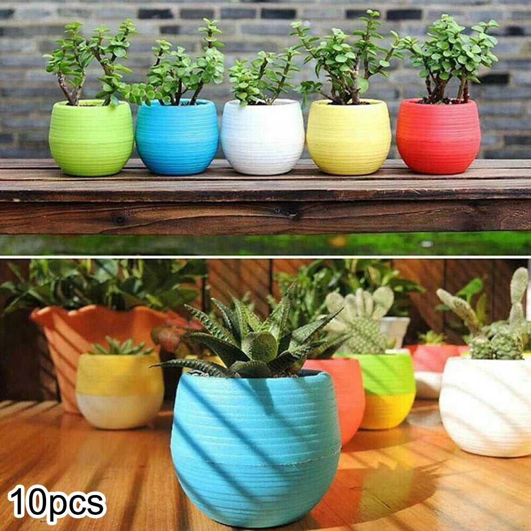 10pcs Mini Plastic Flower Pot Round Succulent Pot Small Flower Plant Planter Colorful Nursery Box Trays Transplant Flower Pots