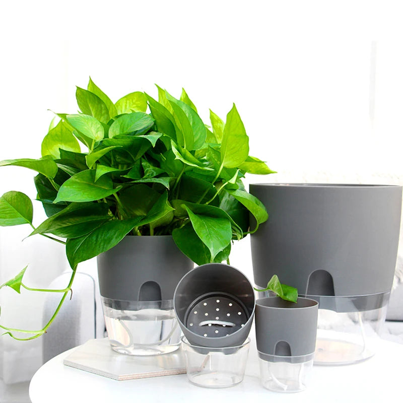 Transparent Double-Layer Self-Watering Plastic Flower Pot - Modern Hydroponic Plant Pot