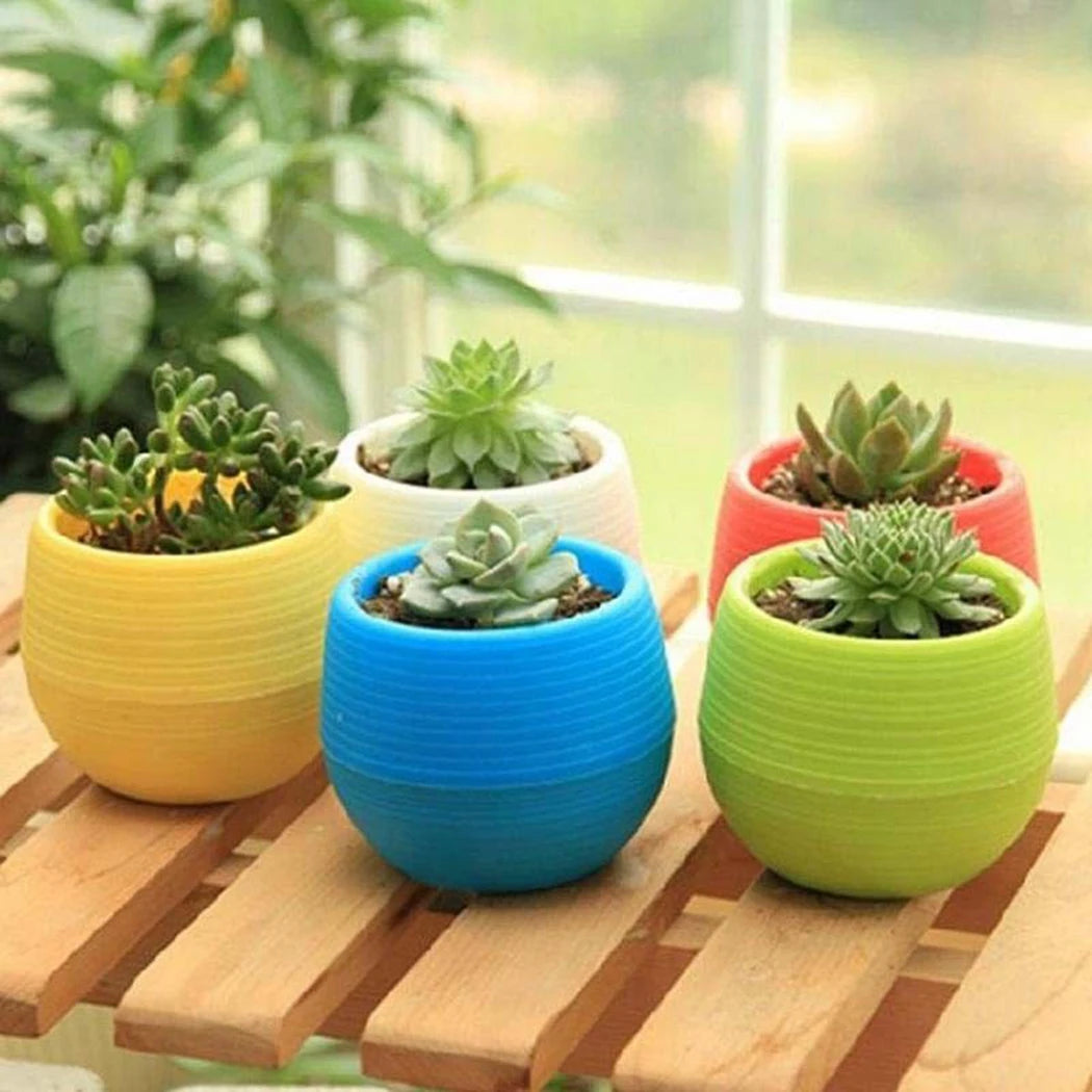 10pcs Mini Plastic Flower Pot Round Succulent Pot Small Flower Plant Planter Colorful Nursery Box Trays Transplant Flower Pots