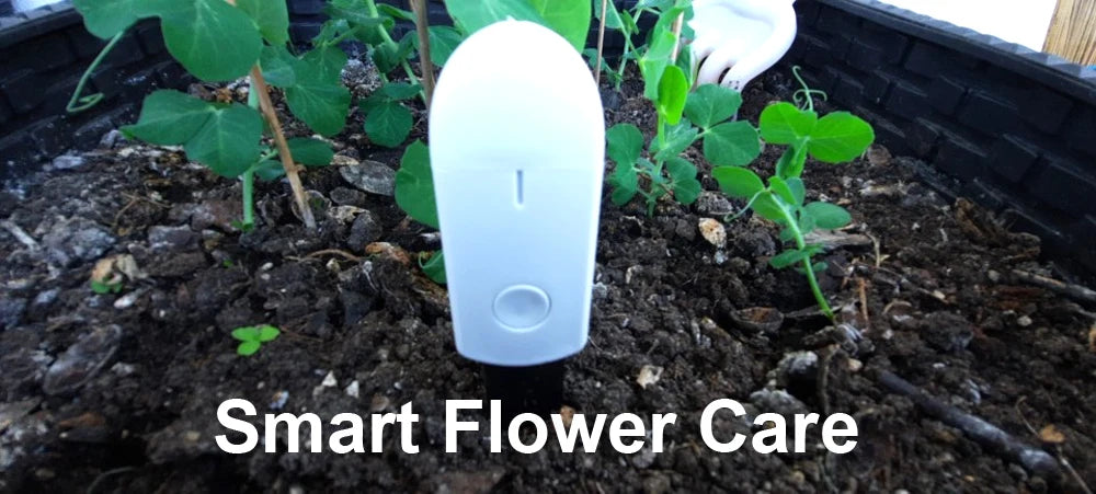 MIJIA Smart Soil Moisture Sensor – Digital Hygrometer for Plants & Gardens