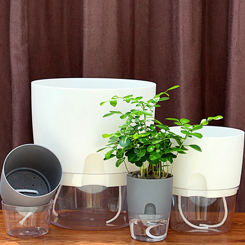 Transparent Double-Layer Self-Watering Plastic Flower Pot - Modern Hydroponic Plant Pot