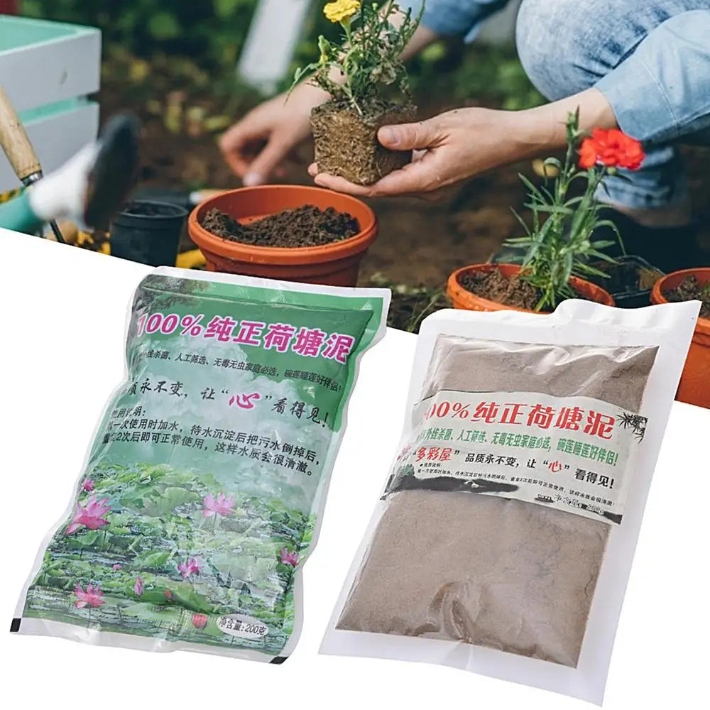 Natural Lotus Pond Mud – Nutrient-Rich Aquatic Soil for Water Lilies & Plants