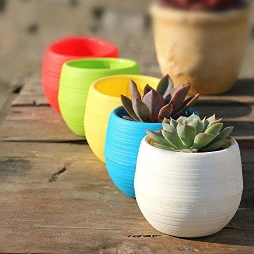 10pcs Mini Plastic Flower Pot Round Succulent Pot Small Flower Plant Planter Colorful Nursery Box Trays Transplant Flower Pots