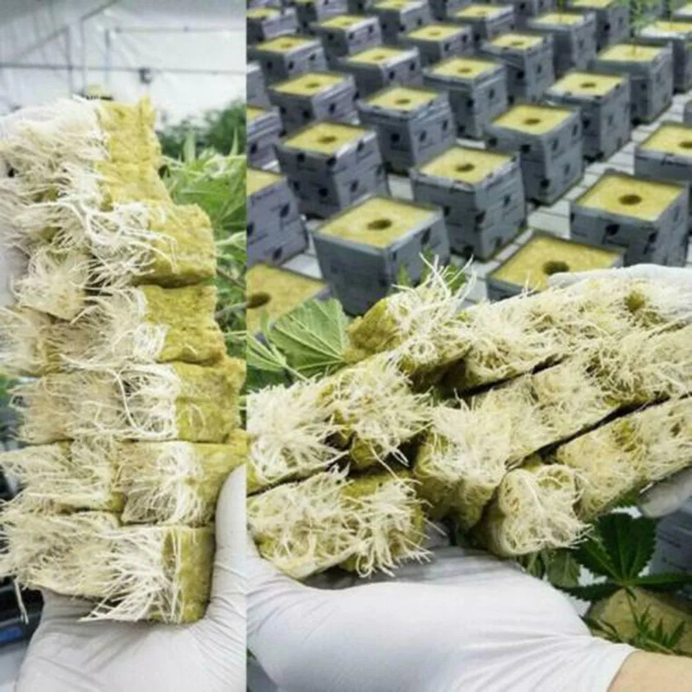 50/100pcs 25x25x40mm Stonewool Hydroponic Grow Media Cubes - Soilless Rock Wool Plant Substrate