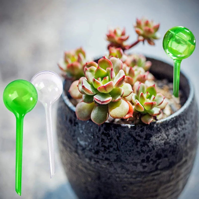 5PCS Automatic Plant Watering Globes – Self-Watering Irrigation for Indoor & Outdoor Plants