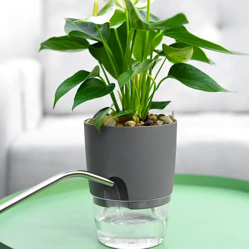 Transparent Double-Layer Self-Watering Plastic Flower Pot - Modern Hydroponic Plant Pot