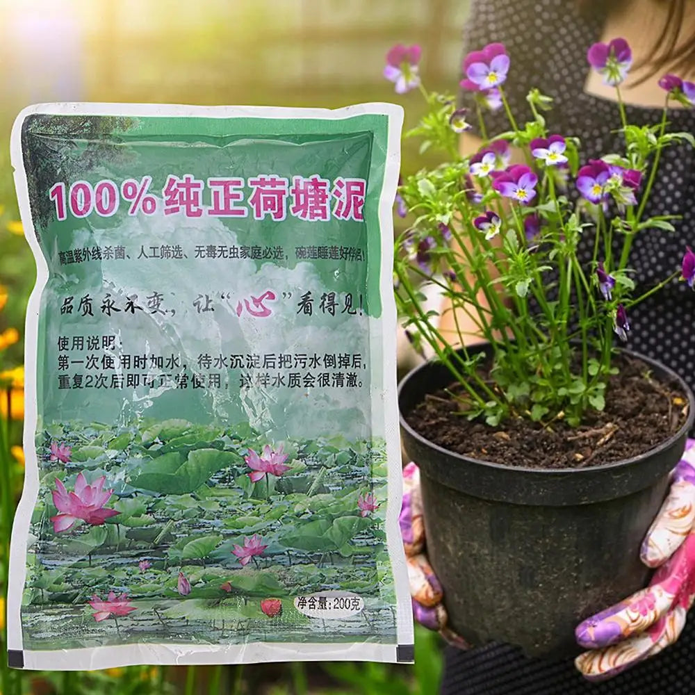 Natural Lotus Pond Mud – Nutrient-Rich Aquatic Soil for Water Lilies & Plants